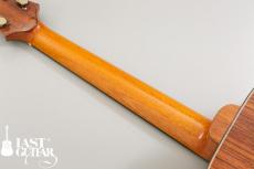 Voyager Guitars VA_6