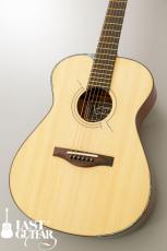 Voyager Guitars VA_10