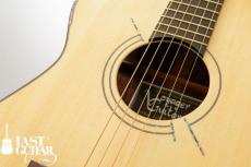 Voyager Guitars VA_11
