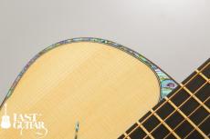 Voyager Guitars VA_12