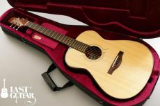 Voyager Guitars VA_13