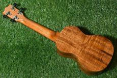 Famous FS-220 Soprano_3