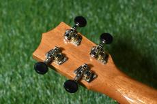 Famous FS-220 Soprano_6