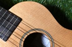 Famous FS-220 Soprano_9