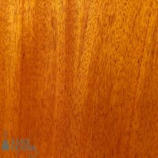 Cat's Eyes CE62T_9