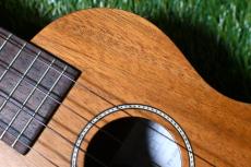 Famous FS-210 Soprano_9