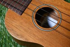 Famous FS-210 Soprano_10