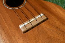 Famous FS-210 Soprano_11