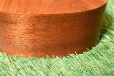 Famous FS-210 Soprano_12