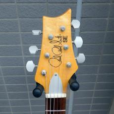 Paul Reed Smith [PRS] SE Silver Sky_3