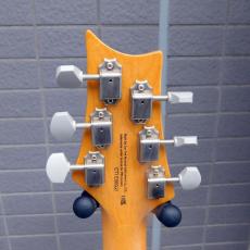 Paul Reed Smith [PRS] SE Silver Sky_5