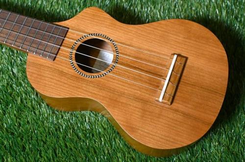 Famous FLS-11GC Soprano LongNeck