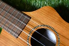 Famous FLS-11GC Soprano LongNeck_9