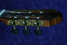 ARANJUEZ [アランフェス] A-13(アルトギター)　松/インディアンローズウッド_5