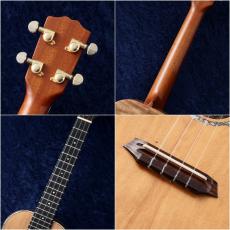 G String 【スペシャルプライス!】 ABF-T4 '01 【実物動画あり】【USED】【48回無金利】【P.U付】【テナー】_5