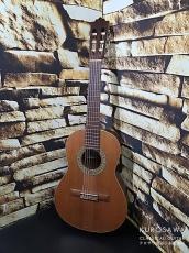 Paco Castillo パコ・カスティージョ 2020年代製 201 1/2 杉・サペリ 540mm ショートスケール【日本総本店2F 在庫品】