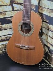 Paco Castillo パコ・カスティージョ 2020年代製 201 1/2 杉・サペリ 540mm ショートスケール【日本総本店2F 在庫品】_2