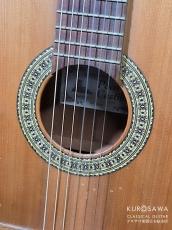 Paco Castillo パコ・カスティージョ 2020年代製 201 1/2 杉・サペリ 540mm ショートスケール【日本総本店2F 在庫品】_3