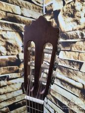 Paco Castillo パコ・カスティージョ 2020年代製 201 1/2 杉・サペリ 540mm ショートスケール【日本総本店2F 在庫品】_5