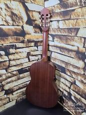 Paco Castillo パコ・カスティージョ 2020年代製 201 1/2 杉・サペリ 540mm ショートスケール【日本総本店2F 在庫品】_6