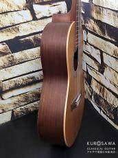 Paco Castillo パコ・カスティージョ 2020年代製 201 1/2 杉・サペリ 540mm ショートスケール【日本総本店2F 在庫品】_9