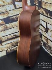 Paco Castillo パコ・カスティージョ 2020年代製 201 1/2 杉・サペリ 540mm ショートスケール【日本総本店2F 在庫品】_10