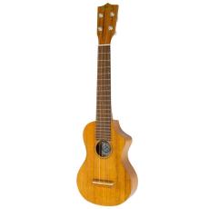 Famous FLS-5GC ソプラノウクレレ【オンラインストア限定】_2