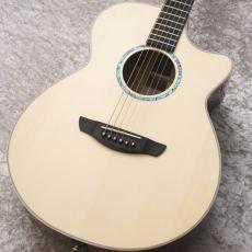 Faith FVHG3 HiGloss 【48回無金利】【オール単板】【P.U付】【買取・下取強化中!】【クロサワ町田店】