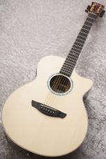 Faith FVHG3 HiGloss 【48回無金利】【オール単板】【P.U付】【買取・下取強化中!】【クロサワ町田店】_2