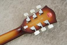 Hofner Leader CT Sunburst [HCT-4800-SB] #Y0209Y023_8