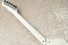 Prohaszka Guitars Drooid_7