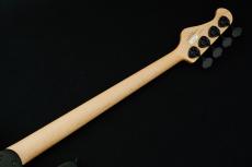 FUJIGEN JMJ2B-ASH-M - Open Pore Black-【4.75kg】【日本製】_11