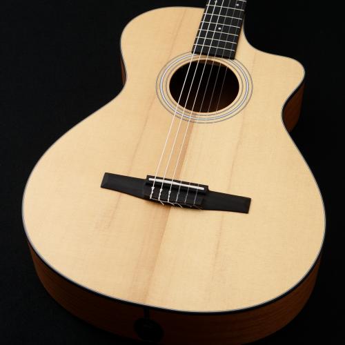 Taylor 112ce-N 【動画あり】【48回無金利】【エレガット】【トリファイドスプルース】【細目ネック】