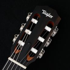 Taylor 112ce-N 【動画あり】【48回無金利】【エレガット】【トリファイドスプルース】【細目ネック】_3