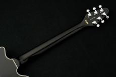 Brian May Guitars Brian May Special "3 Tone Sunburst"【本人監修モデル】【QUEEN CDセットプレゼント!】【BHM231005】_10