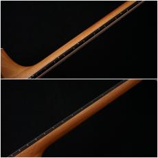 Taylor 214ce Walnut 【48回無金利】【トリファイドスプルース】【細目ネック】【買取・下取強化中!】_9