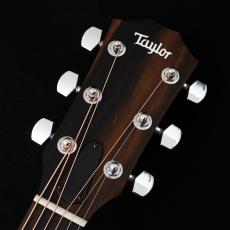 Taylor 212ce Walnut 【48回無金利】【トリファイドスプルース】【コンパクトボディ】【細目ネック】_3