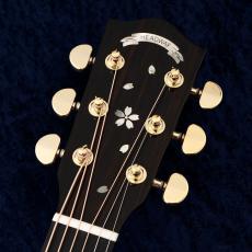 Headway HOC-SAKURA/JS ABG-GRD 【動画あり】【48回無金利】【JT初の桜材使用モデル!】【P.U付】_3