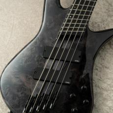 Spector NS Dimension MS 5 Gloss EE -Translucent Black / TBK- 【12本限定生産】
