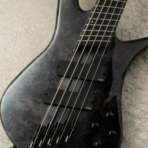 Spector NS Dimension MS 5 Gloss EE -Translucent Black / TBK- 【12本限定生産】