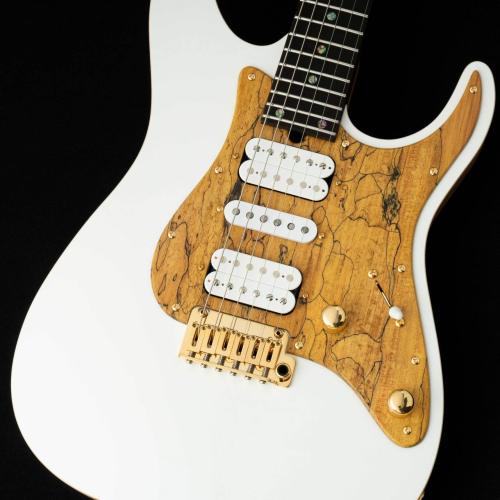 T's DST Pro 24 w/Spalted Maple PG -Steps White Mat / Burned Ash Back-