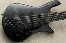 Spector NS Dimension MS 5 Gloss EE -Translucent Black / TBK- 【12本限定生産】_3