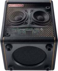 Positive Grid Spark MINI Pearl_4