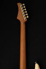 T's DST Pro 24 Rosewood FB w/Roasted Maple Neck -Steps Natural Burner Mat-_11