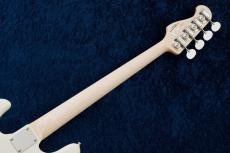 FUJIGEN KNJB100RBAL -Antique White- AWH#L240256【オリジナルオーダー品!!】【4.34kg】_11