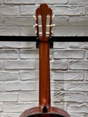 KODAIRA [小平] AST-100 S640【USED】【松/ローズウッド】【48回無金利】【買取・下取強化中!】_6