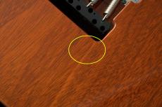 Marchione Set Neck Carved Top 1P Figured Maple Top -Amber-_11