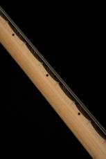 SCHECTER PS-ST-DH-SC w/Gold Parts -3 Tone Sunburst- #S2505177 【スキャロップ指板】【限定生産モデル】_5