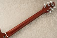 Kz Guitar Works Kz RS Replica #20240567 【Red Special】_8