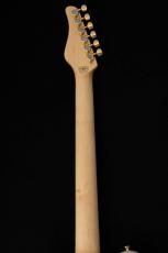 SCHECTER KR-24-2H-FXD -Blonde w/Gold Parts- #S2502171 【限定生産モデル】_9